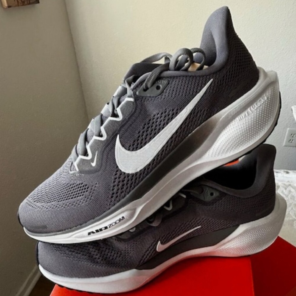 Nike Air Zoom Pegasus 41